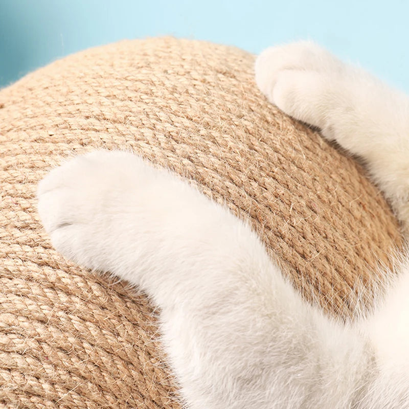 Cat Scratching Ball Kitten Toy