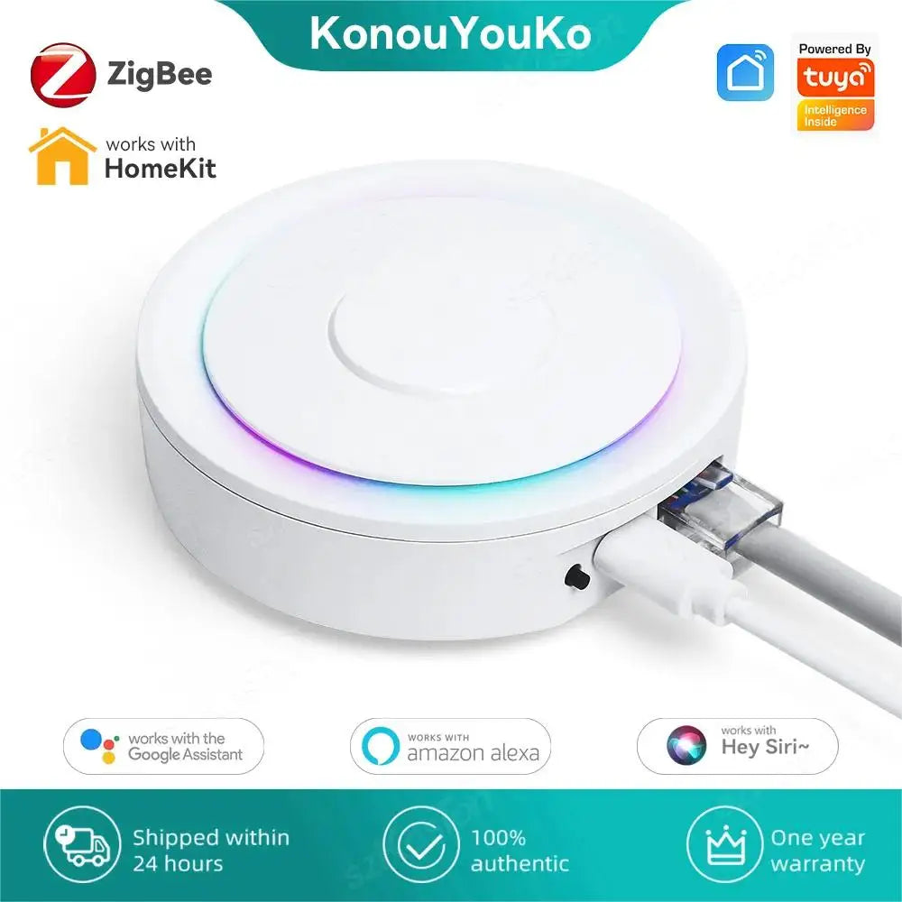 Smart Home Automation Bridge