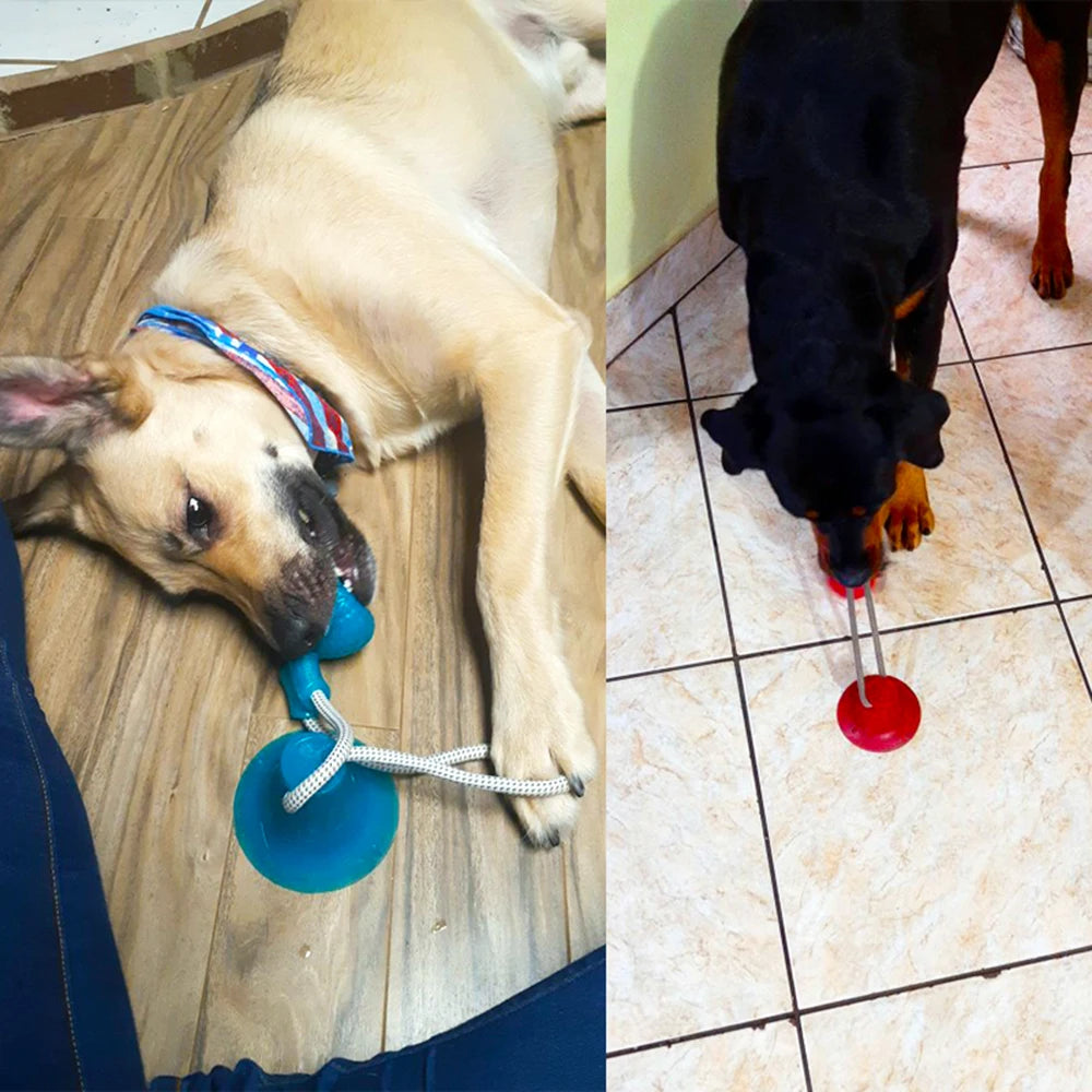 Dog Silicon Cup Suction Tug Ball Toys