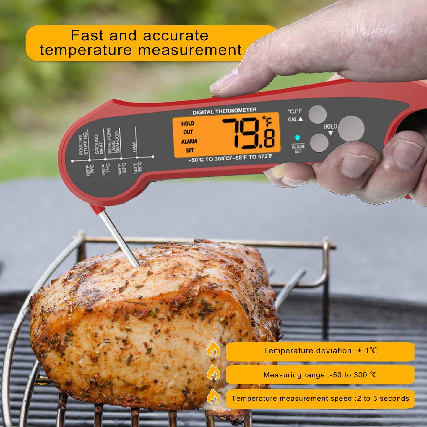 Star Dual Probe Food Thermometer