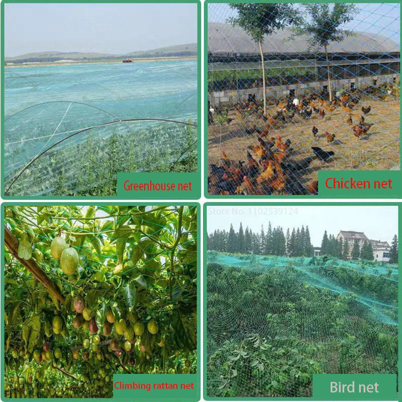 Garden Cell Plant Climbing Net