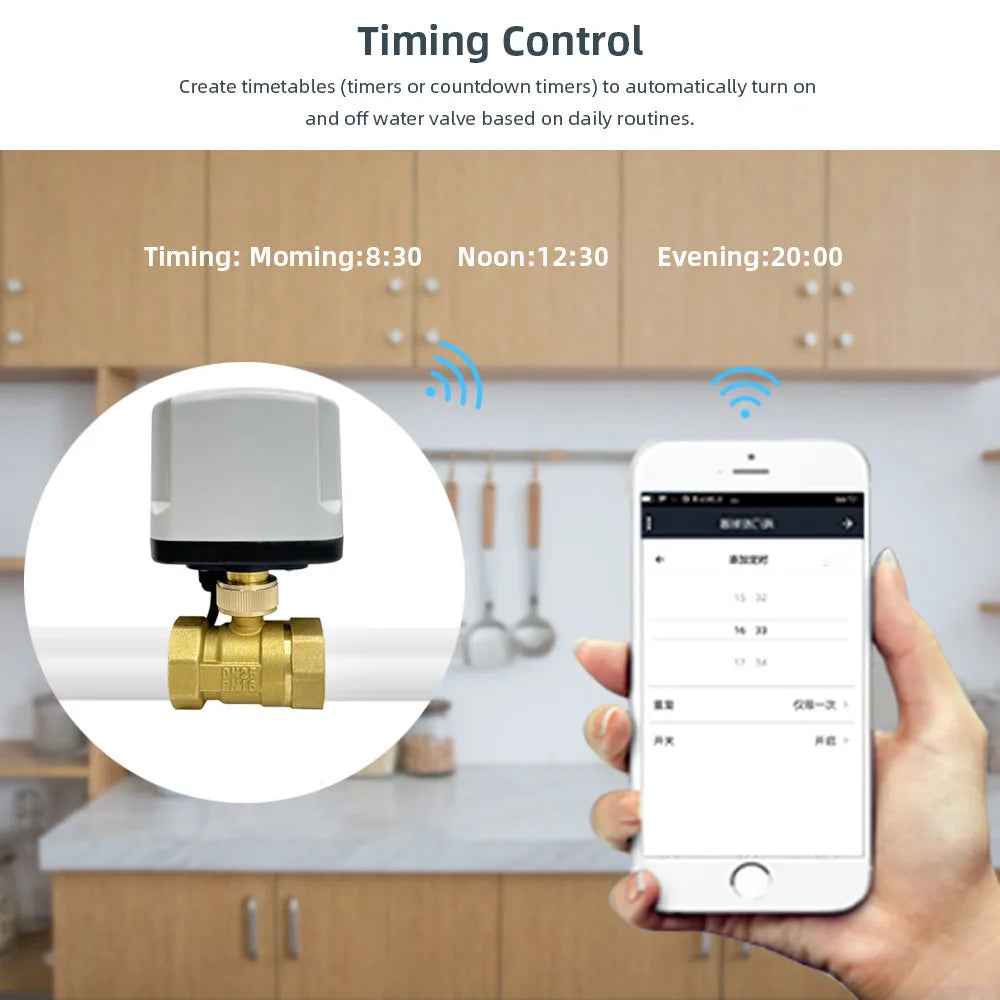 WiFi Smart Water Switch