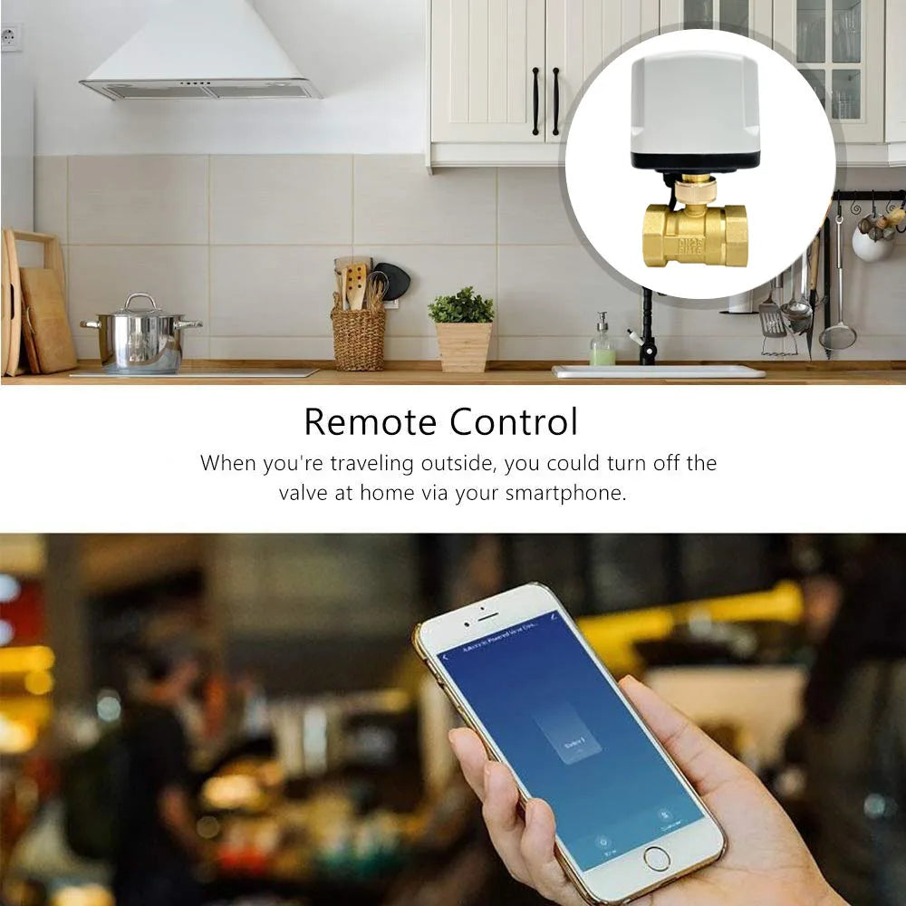 WiFi Smart Water Switch