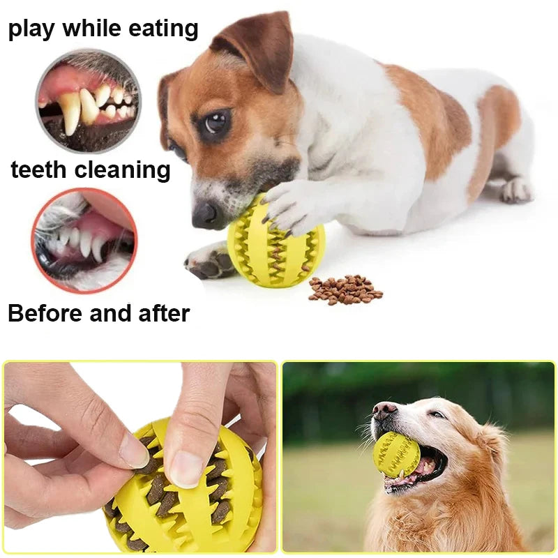 Pet Tooth Cleaning Food Ball