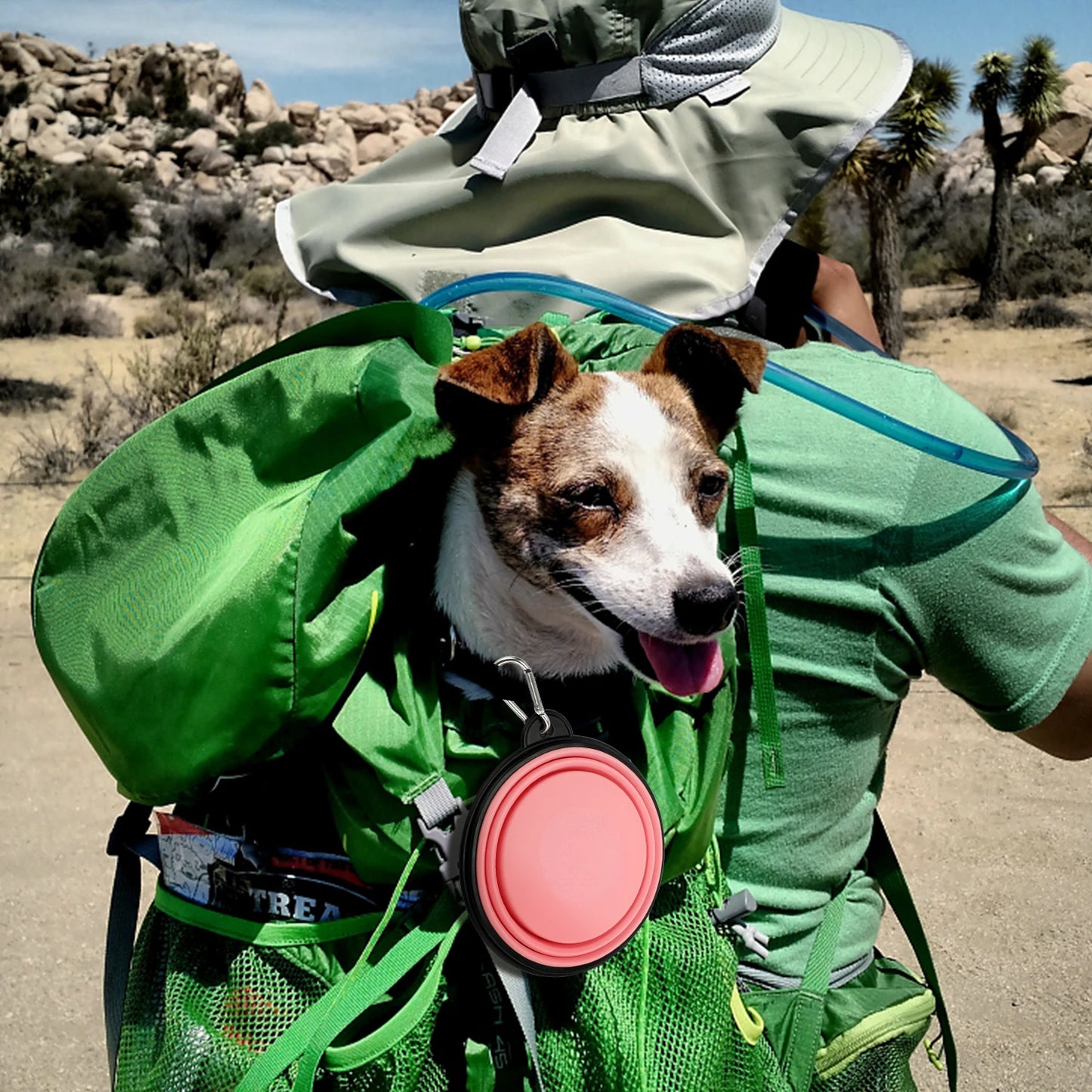 Dog Silicone Foldable Bowl