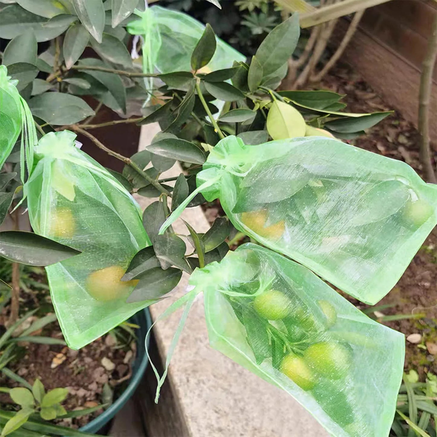 Grapes Fruit Anti-Bird Netting Bag