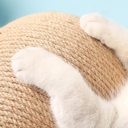 Cat Scratching Ball Kitten Toy