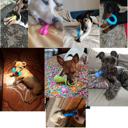 Dog Chewing Pacifier Toys