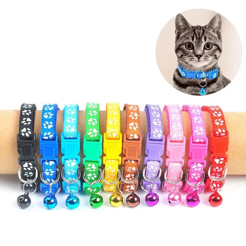Pet Alloy Buckle Collar