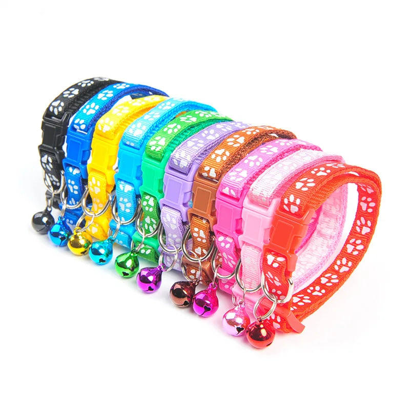 Pet Alloy Buckle Collar