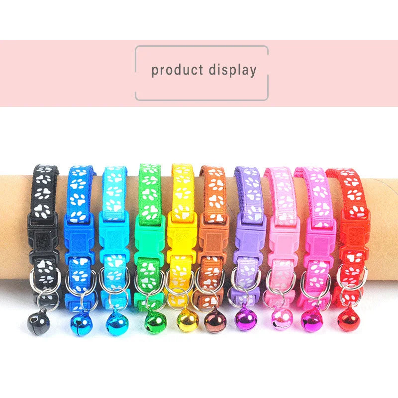 Pet Alloy Buckle Collar