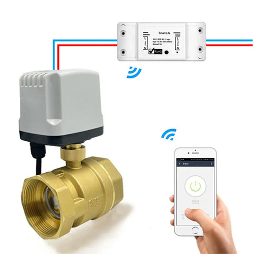 WiFi Smart Water Switch