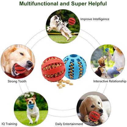 Pet Tooth Cleaning Food Ball