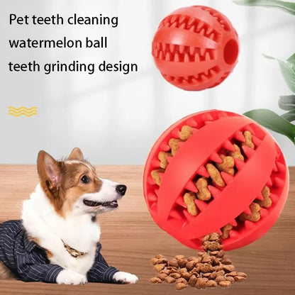 Pet Tooth Cleaning Food Ball