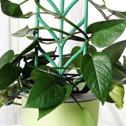 Garden Plant Support Trellis
