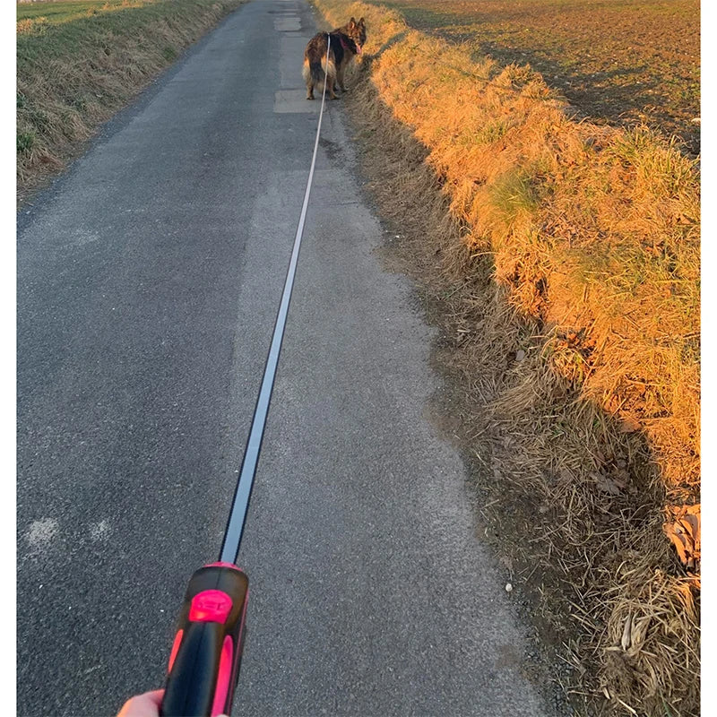 Automatic Extending Dog Leash