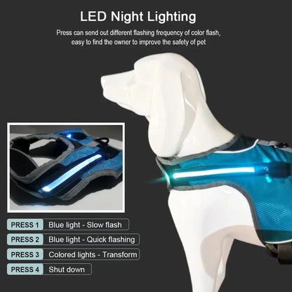 Dog LED Luminous Light Up Chest Strap Vest