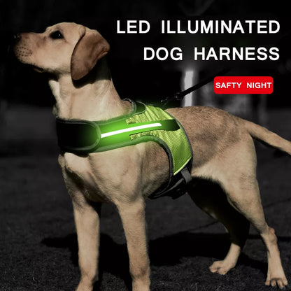 Dog LED Luminous Light Up Chest Strap Vest