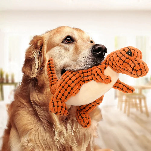 Dog Plush Dinosaur Interactive Chew Toy
