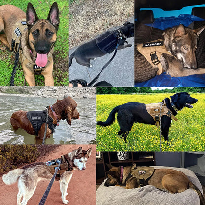 German Shepherd Dog Tactical Harness