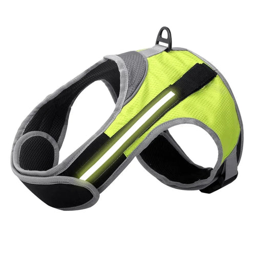Dog LED Luminous Light Up Chest Strap Vest