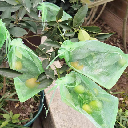 Grapes Fruit Anti-Bird Netting Bag